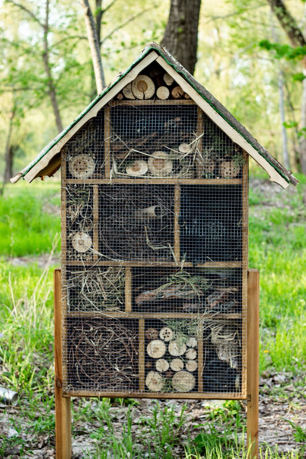 Insektenhotel & Wildbienen-Nisthilfe