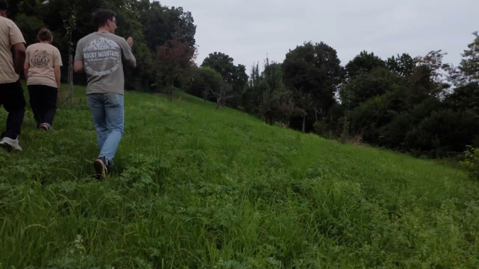 Drohnenflug über die Streuobstwiese am Galgenberg, zweite Aufnahme