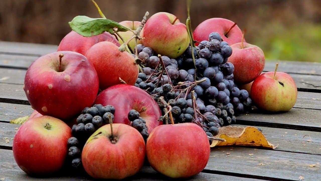 Saisonkalender Herbst: Welches Gemüse und Obst im Oktober und November Saison hat