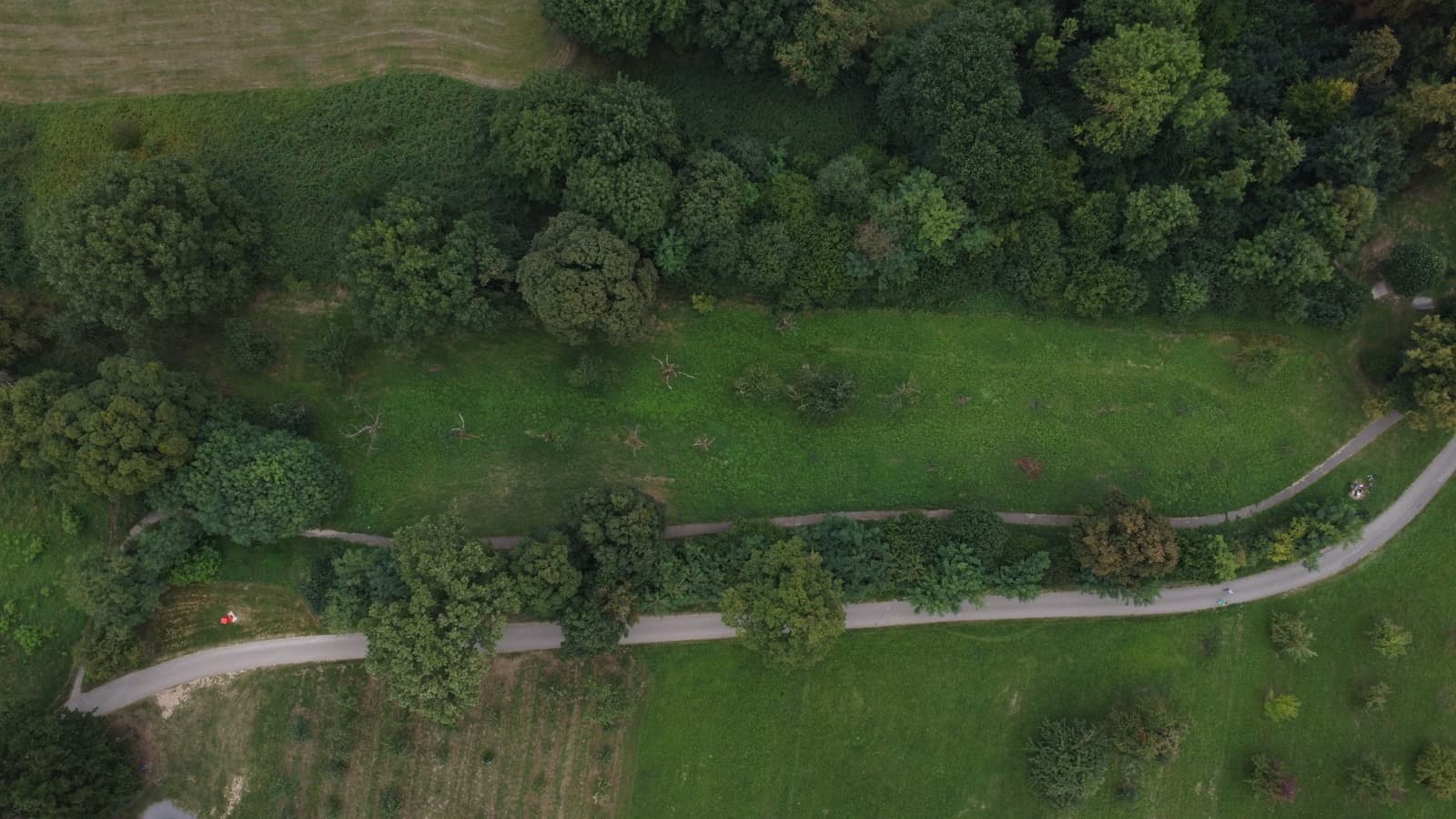 Luftaufnahme der Streuobstwiese am Galgenberg
