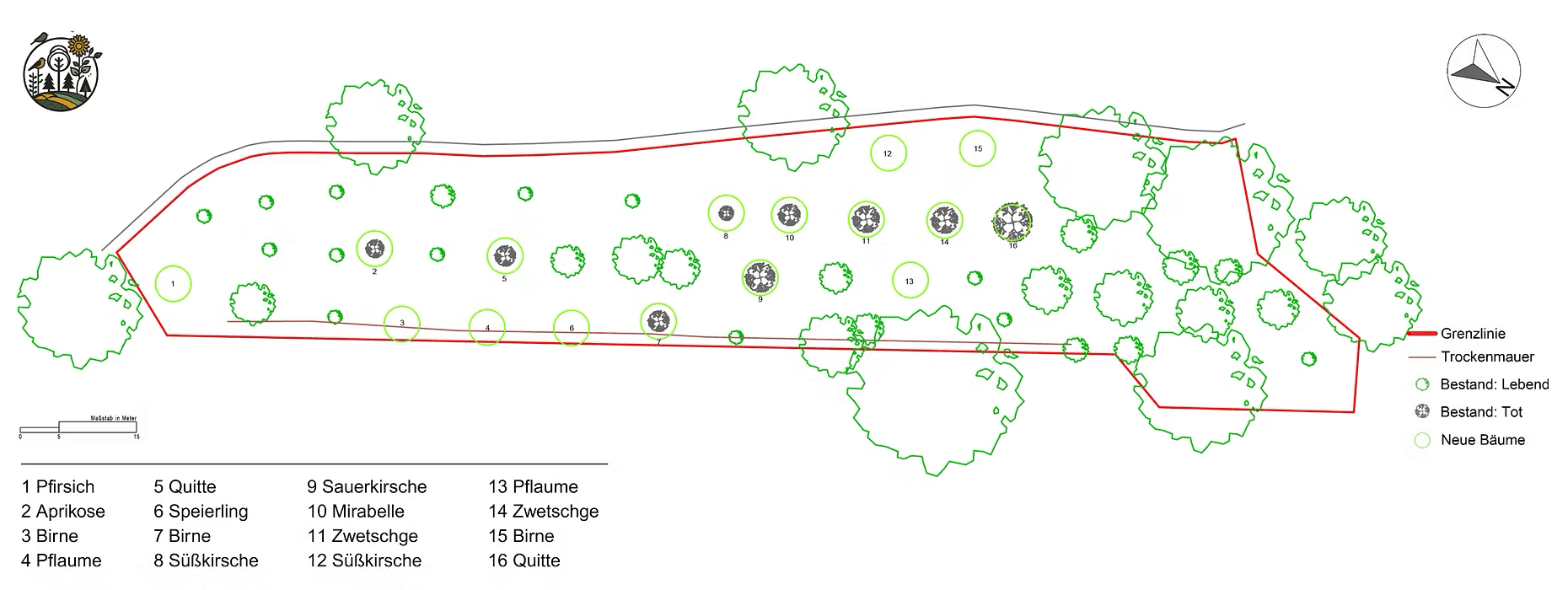 Original-Pflanzplan Galgenberg mit Grenzlinie, Trockenmauer, Alt- und Neubaumbestand