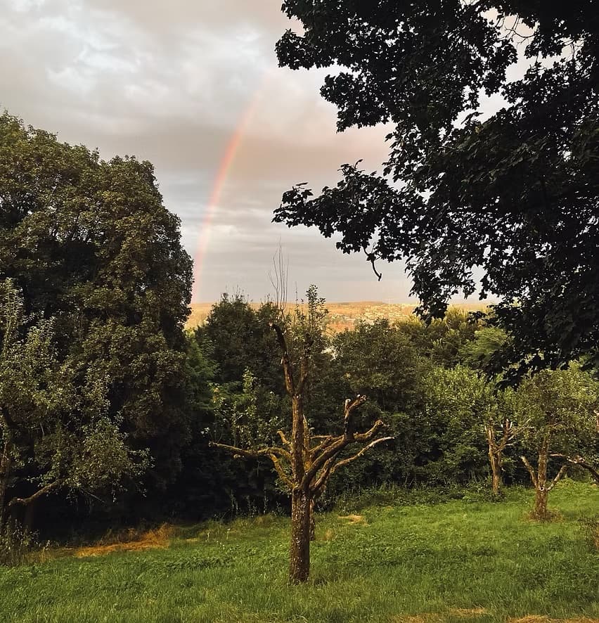 Regenbogen über der aufgewerteten Streuobstwiese am Galgenberg