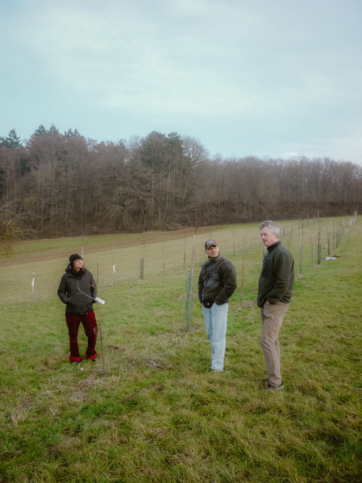 Team-Begehung an der neu gepflanzten Baumreihe, Waldrand im Hintergrund