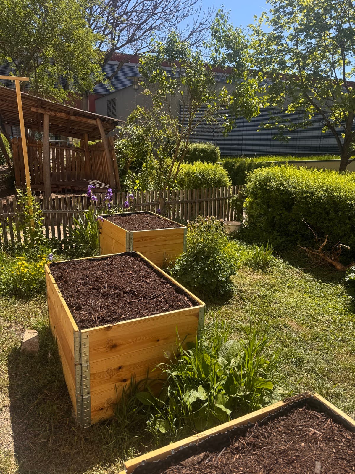 Neue Hochbeete mit Blick auf den überdachten Sitzplatz im Schulgarten