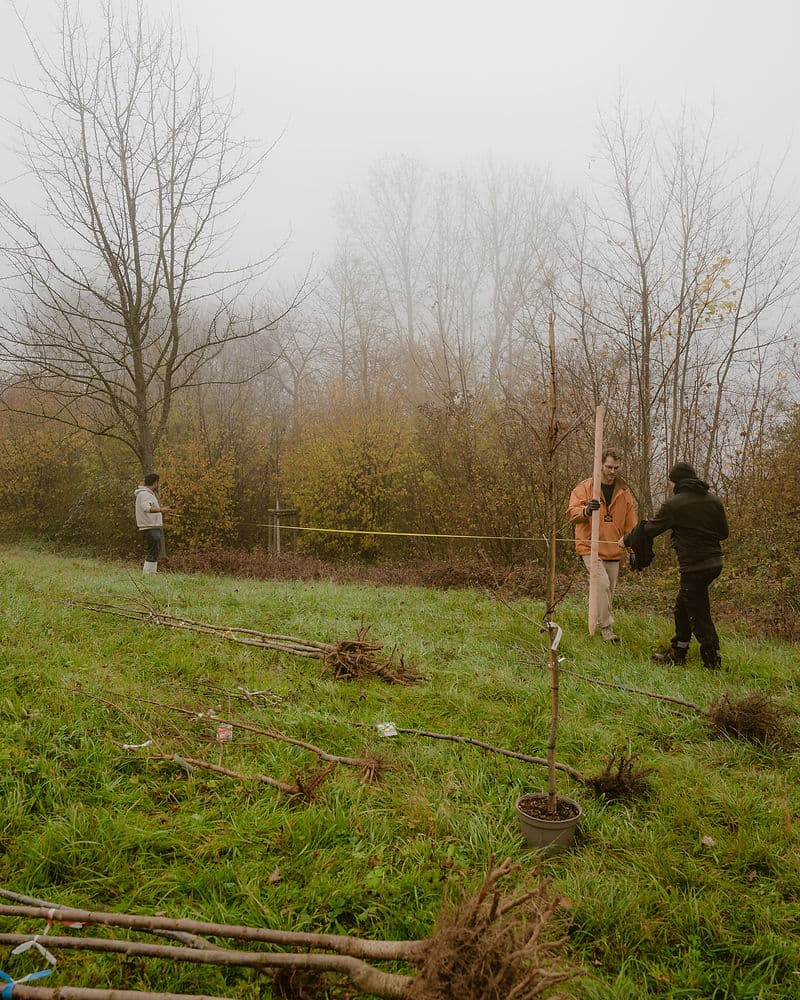 Projektfläche Galgenberg
