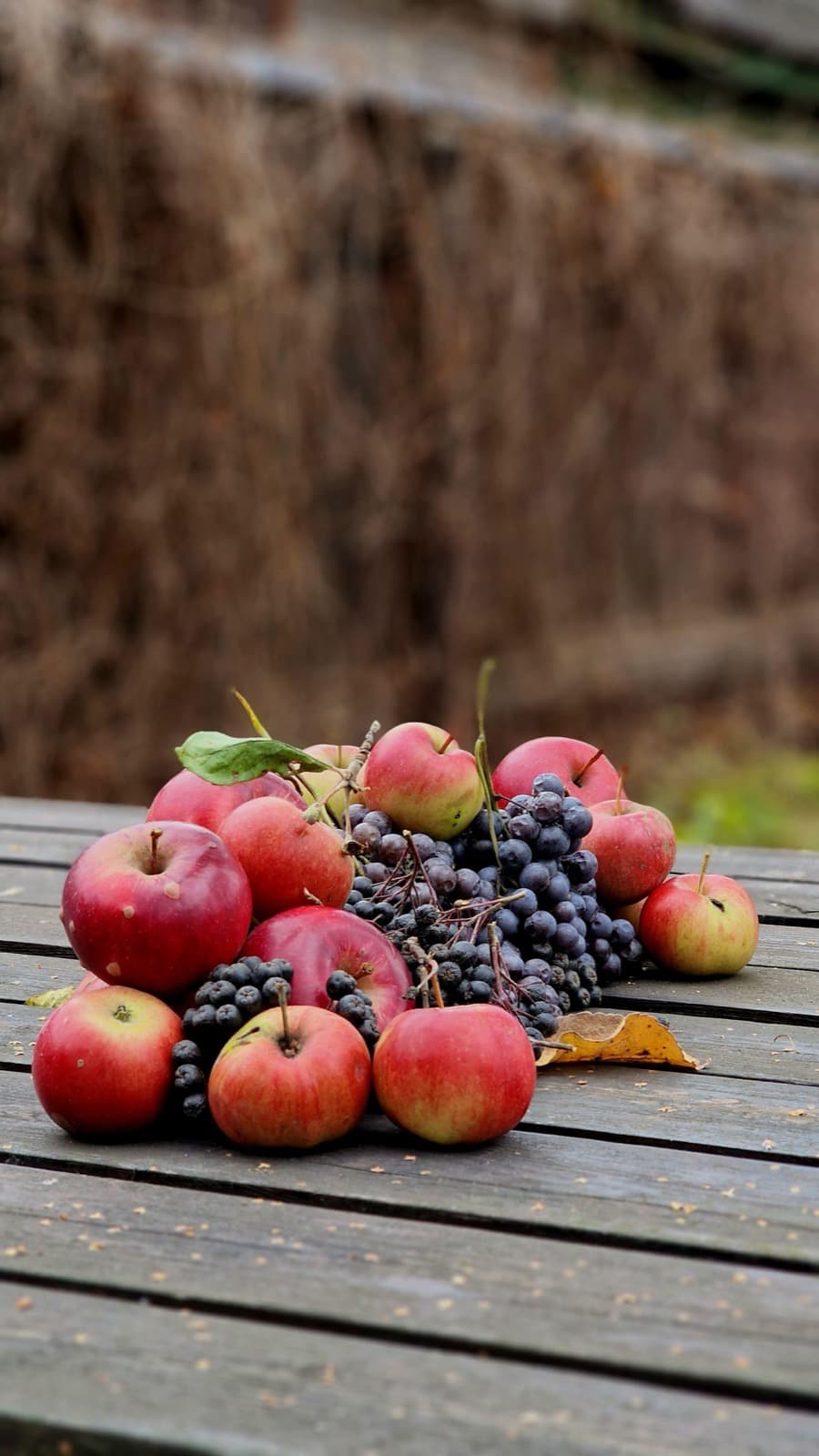 Frisch geerntete Äpfel und Wildtrauben von der Streuobstwiese