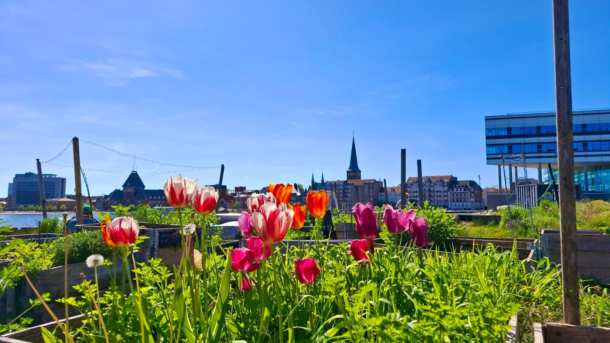 Stadt der Zukunft