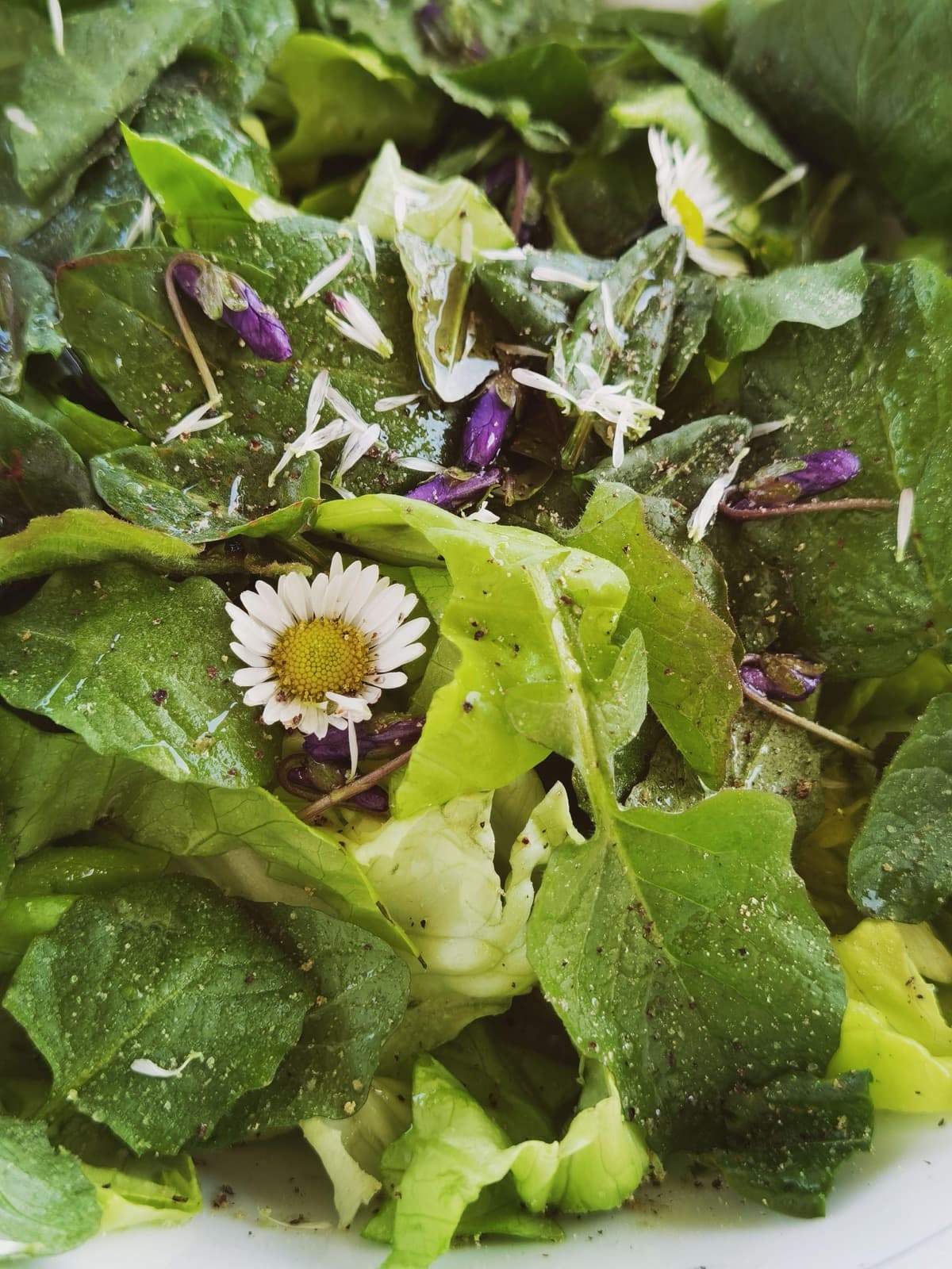 Fertiger Wildkräutersalat mit Gänseblümchen und essbaren Blüten garniert