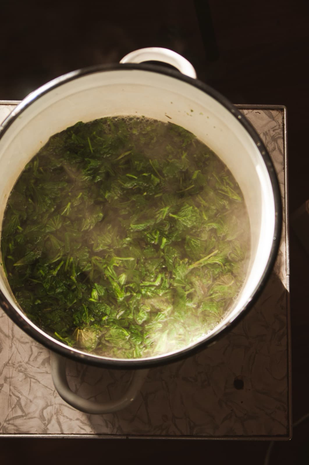 Wildkräuter köcheln in einem Topf, kurz bevor die Suppe püriert wird