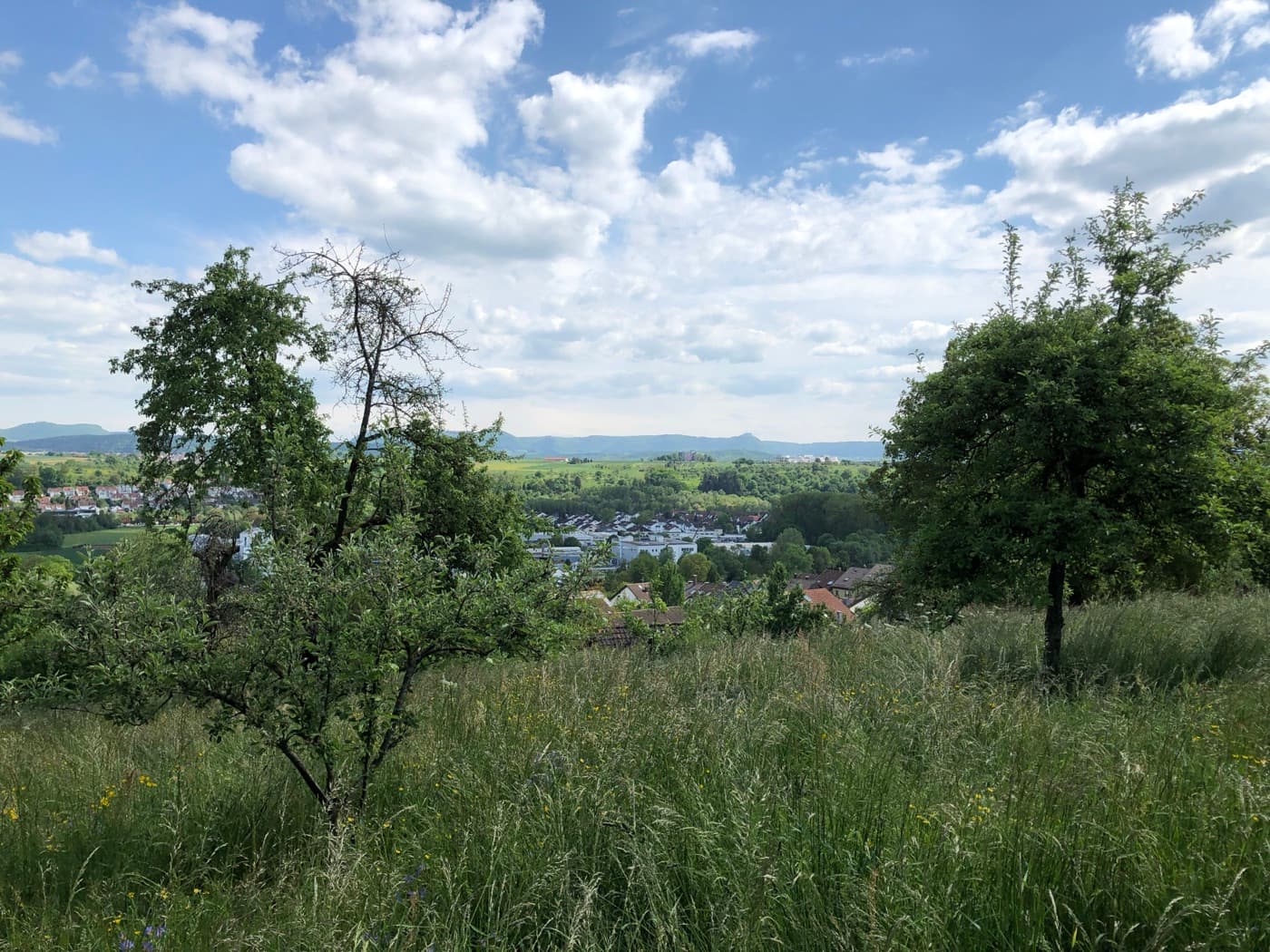 Weiter Blick über das Neckartal von einer PermaWaldGarten-Fläche aus — ein Ausblick auf das, was über Generationen wachsen kann